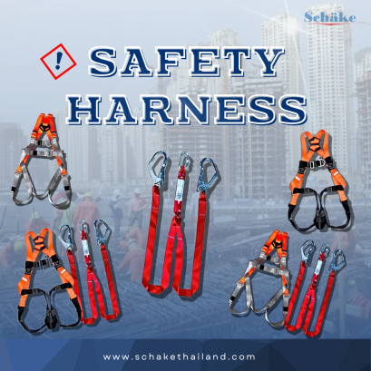 Safety Harness สิ่งนี้คืออะไร ?