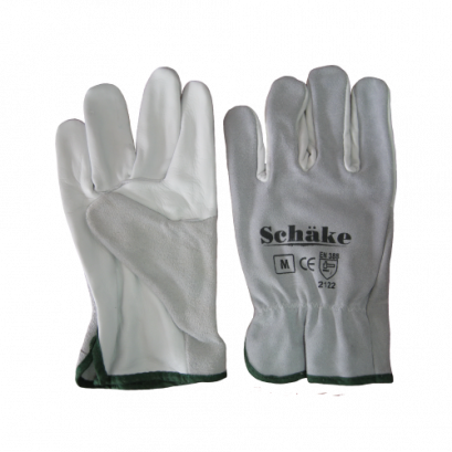 Nam sed elit sagittis