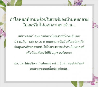 กำไลหยกที่ขายพร้อมใบเซอร์ของข้านหยกสวย ใบเซอร์ไม่ได้ออกจากทางร้าน