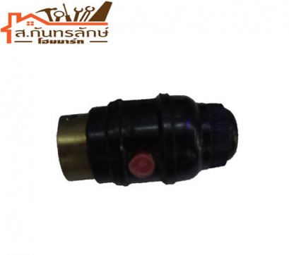 	ขั้วห้อย มีสวิตช์ ขั้วเขี้ยว