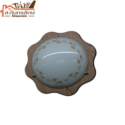 	โคมไฟติดเพดาน CCW-013 WELL LIGHT ไม่รวมอุปกรณ์