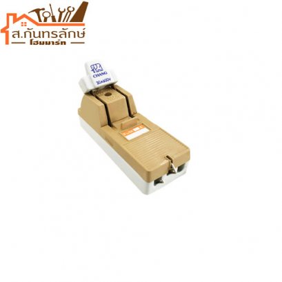 	คัทเอาท์ 30A ช้างแท้