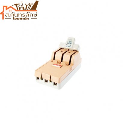 	คัทเอาท์ 60A ช้างแท้ 3เฟส