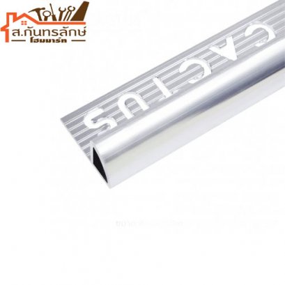 	คิ้วอลูมิเนียม TPC102011 CACTUS สีเงินเงา