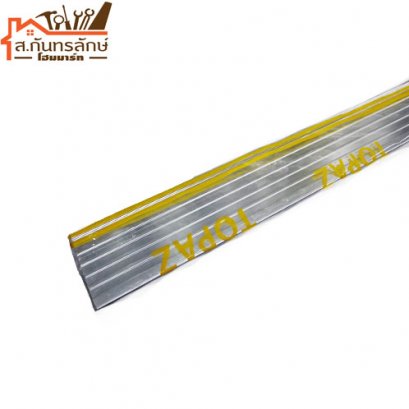 จมูกบันไดอลูมิเนียม TPN402011 CACTUS สีเงินเงา