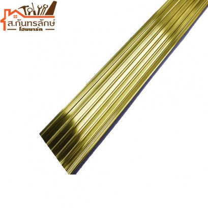 	จมูกบันไดอลูมิเนียม TPN402014 CACTUS สีทอง