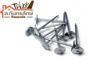 ตะปูสังกะสี ขาว