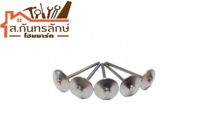 ตะปูสังกะสี ขาว หมวกใหญ่ 3ขีด