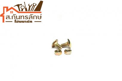 น๊อตยึดเหล็กฉากทำชั้น 40ตัว