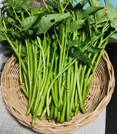 ผักบุ้ง