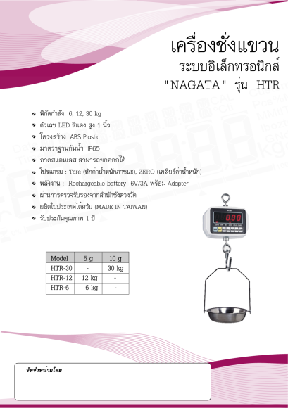 HTR Hanging Scales NAGATA