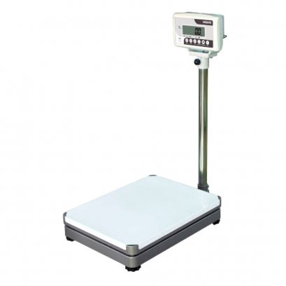 SW Platform Scales NAGATA