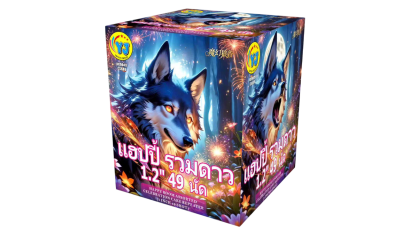 1.2" แฮปปี้ รวมดาว 49 นัด (9")