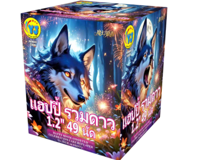 1.2" แฮปปี้ รวมดาว 49 นัด (9")