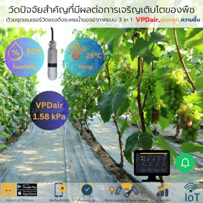 ชุด IoT 3 in 1: นวัตกรรมการวัดค่า VPDair, อุณหภูมิอากาศ, และความชื้นอากาศ