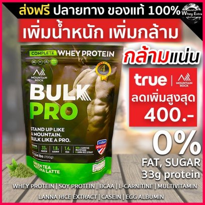 Bulk Pro Whey (เวย์เพิ่มน้ำหนัก)