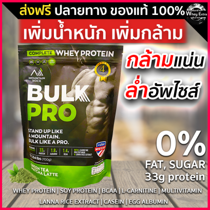 Bulk Pro Whey (เวย์เพิ่มน้ำหนัก)
