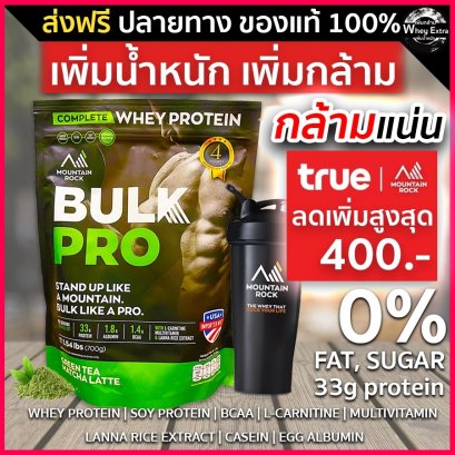 Bulk Pro Whey (เวย์เพิ่มน้ำหนัก)