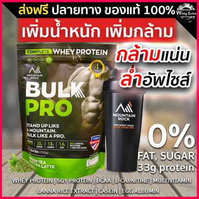 Bulk Pro Whey (เวย์เพิ่มน้ำหนัก)