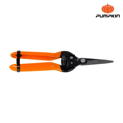 PUMPKIN รุ่น PTT-248 กรรไกรแต่ง-เล็มกิ่งไม้ ปากตรง 33510