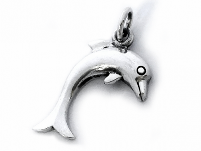 &quot; Save the Dolphins &quot;