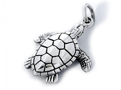 &quot; Save The Sea Turtle &quot;
