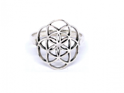 &quot; Seed of Life &quot;