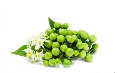 มะเขือพวง (กิโลกรัม)