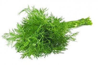 ผักชีลาว 20 บาท