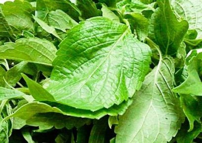 ใบยี่หร่า (กำ)