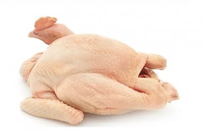 ไก่บ้าน