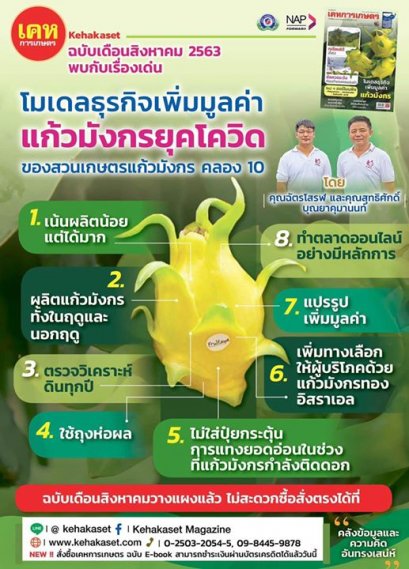 สวนเกษตรแก้วมังกร_Kennydragonfruit_แก้วมังกรสีเหลือง_หนังสือเคหเกษตร