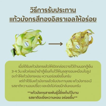 แก้วมังกรสีเหลือง Yellow Dragon fruit