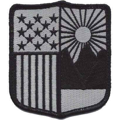 New York National Guard Patch