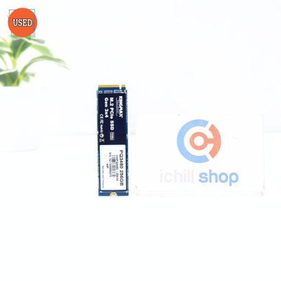 SSD (เอสเอสดี) KINGMAX KMPQ3480 256GB PCIE NVME M.2 2280 P15962