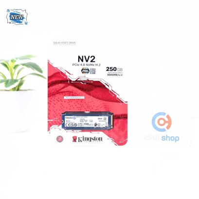 SSD (เอสเอสดี) KINGSTON NV2 250GB PCIe 4.0 NVMe M.2 2280 (ของใหม่) P15946