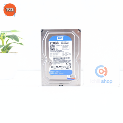 HDD (ฮาร์ดดิสก์) WD BLUE (WD2500AAKK) 250GB SATA 3.5 P14221