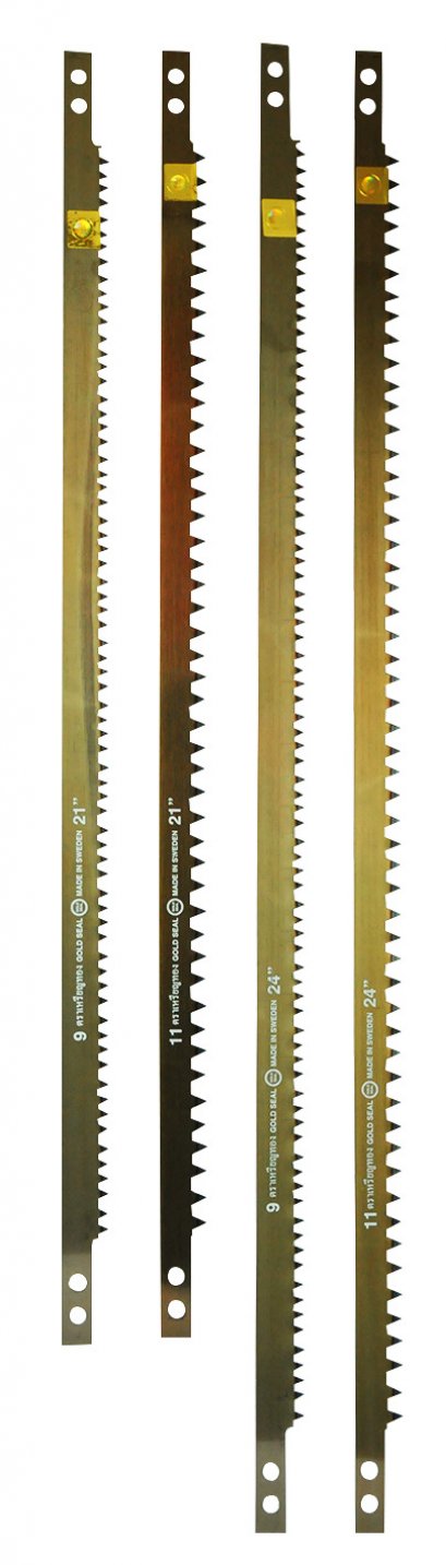 ใบเลื่อยคันธนูเหรียญทอง