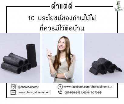 ดำแต่ดี 10 ประโยชน์ของถ่านไม้ไผ่ที่ควรมีไว้ติดบ้าน
