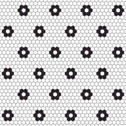 16x16 จิน่า ไวท์ ( Pk 6 )