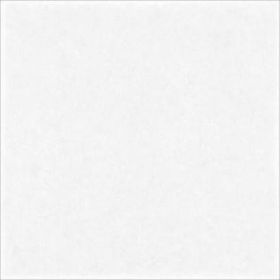 16X16 ผ่องพิณ ขาว PM (PACK 6)