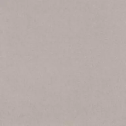 60x60 cm แพมซิลด์ (II) เทาอ่อน R/T PM  (Pack4)