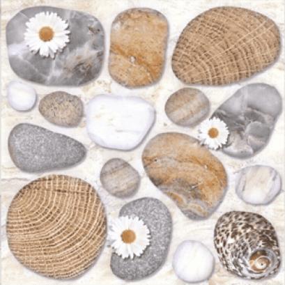 12x12 &quot; ไก่แจ้ A ( Pack 11 )