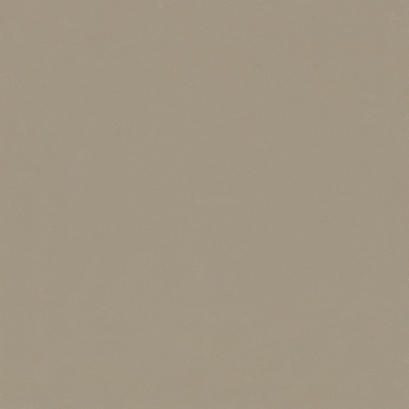 24x24'' เทอร์เรเนียม มัดดี้ (MATT) R/T PM (PK4)