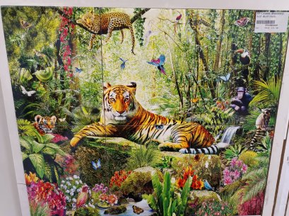 8x10&quot; เสือ/6P (Pack6)