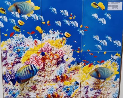 8x10&quot; NO 68/6P (Pack6)