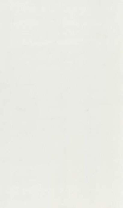40x80cm บียอน ไวท์ (โพลิช) A (Pack 4)