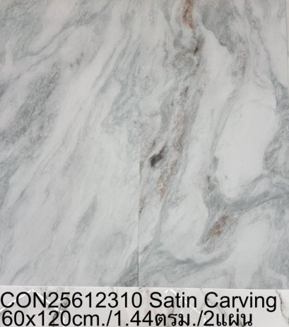 ESM CON 25612310 60x120cm Satin CARING ( Pack2 )