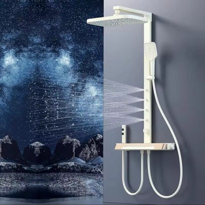 PP02502 Showerhead Shower Set 4 Fn