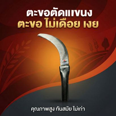 ตะขอ ไม่เดือย เงย